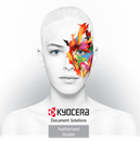 Coastal Business Equipment