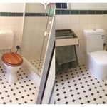 Before and after toilet.jpg
