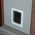PetDoor.jpg